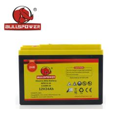 12V 24AH Electric Motorcycle Battery