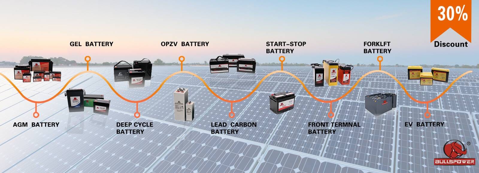 world's leading battery manufacturer