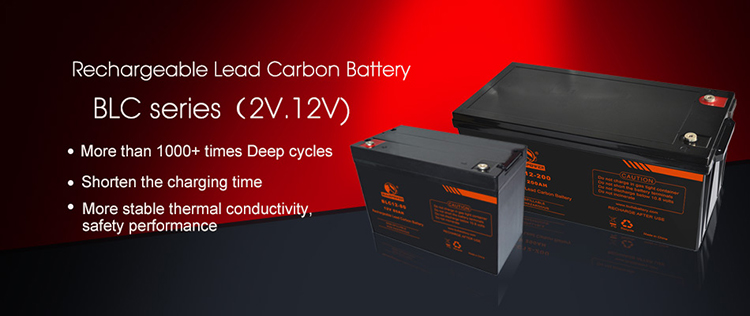 lead carbon battery