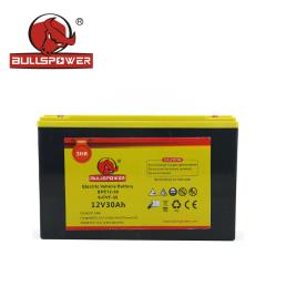 12V 30AH Electric Bicycle Battery