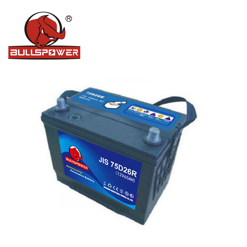 Lead Carbon Battery Company.jpg