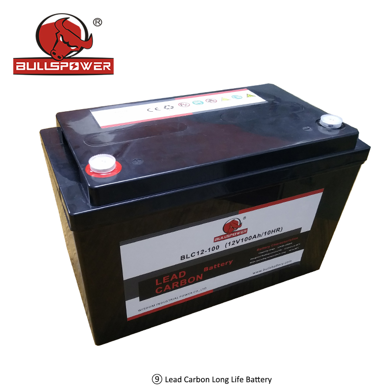 lead carbon battery.jpg